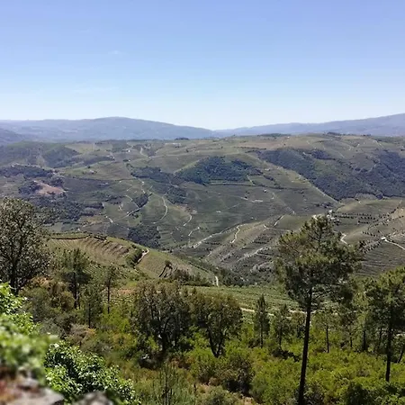 Domus Trintorum Kır Evi