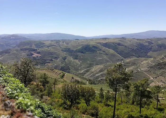 Domus Trintorum منزل ريفي