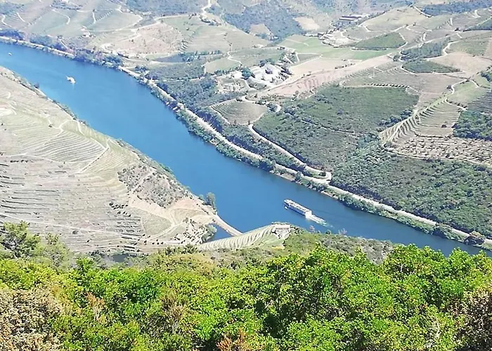 Domus Trintorum * Peso da Régua