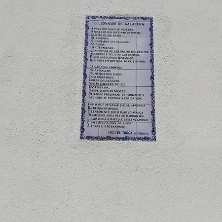 Casa de Campo Domus Trintorum Peso da Régua